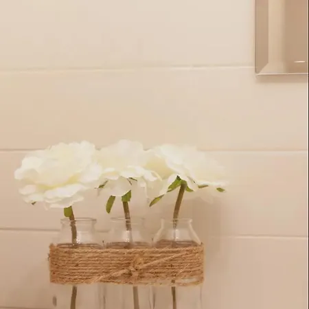 Appartamento Carlo Alberto 27-c *